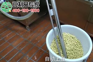 300型豆坊專用豆腐機(jī)工作現(xiàn)場(chǎng)